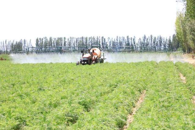 润农泛亚电竞,泛亚电竞官网,泛亚电竞app,泛亚电竞官方网站