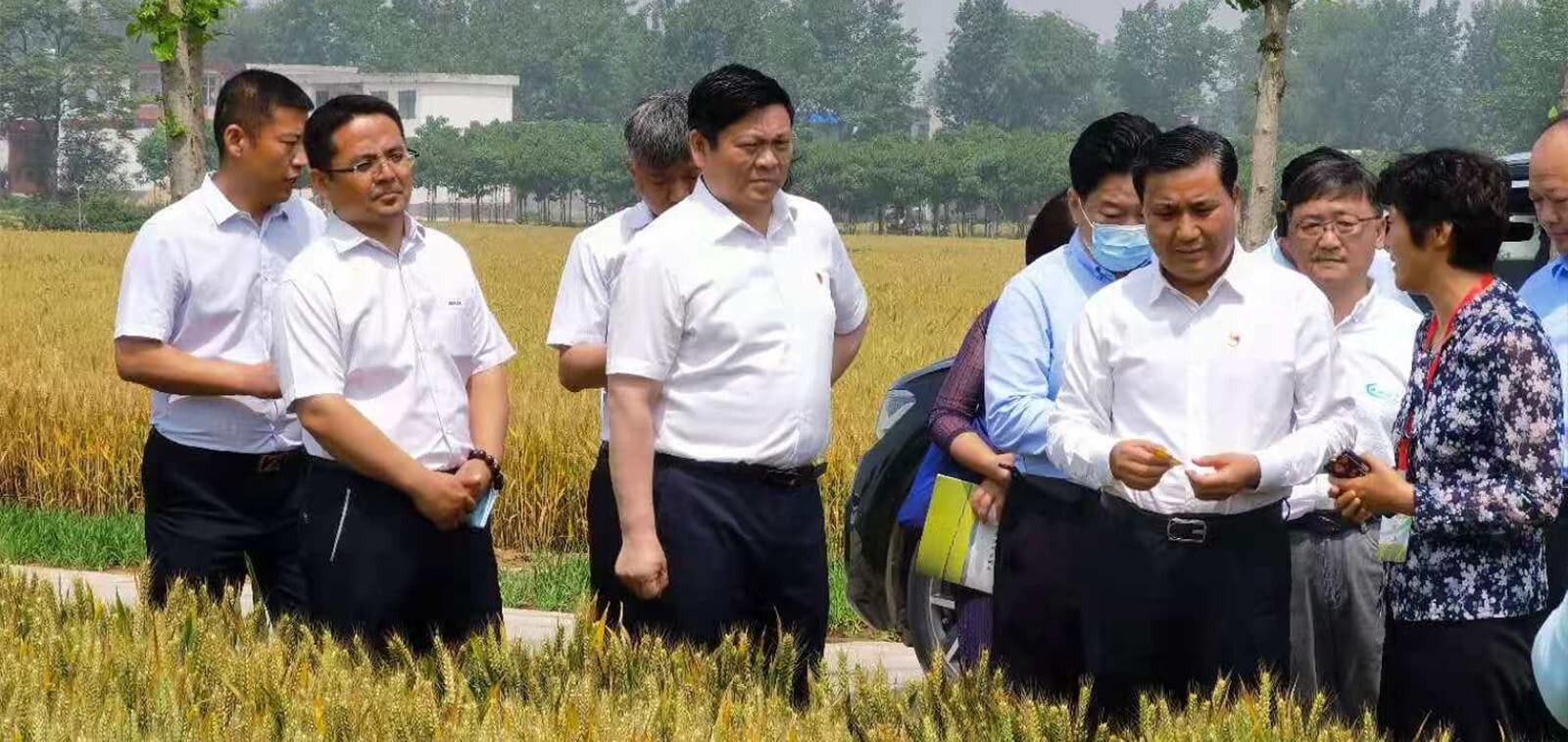 润农泛亚电竞,泛亚电竞官网,泛亚电竞app,泛亚电竞官方网站