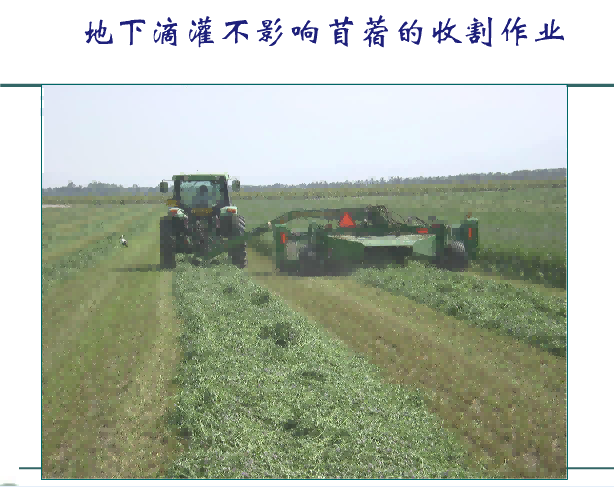 润农泛亚电竞,泛亚电竞官网,泛亚电竞app,泛亚电竞官方网站