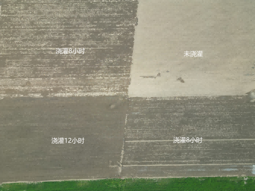 润农泛亚电竞,泛亚电竞官网,泛亚电竞app,泛亚电竞官方网站