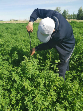 润农泛亚电竞,泛亚电竞官网,泛亚电竞app,泛亚电竞官方网站