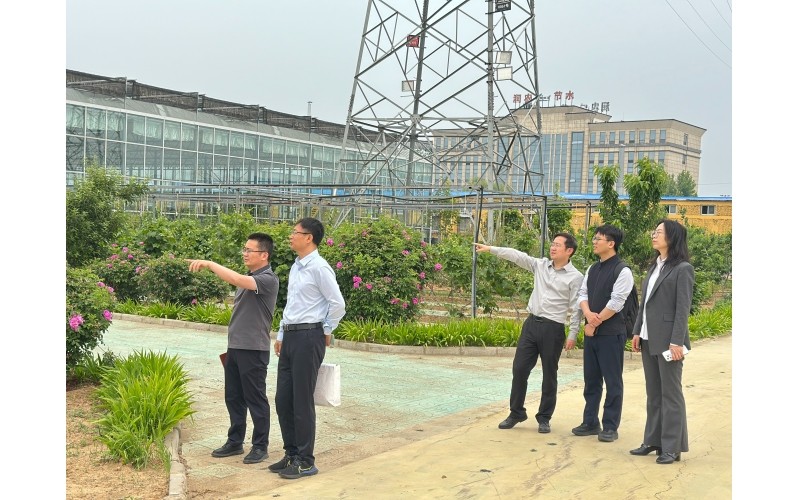 河北证监局监管处领导莅临润农泛亚电竞,泛亚电竞官网,泛亚电竞app,泛亚电竞官方网站开展例行走访调研，指导公司高质量发展